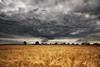 Agriculture