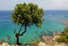 cyprus coast sea beautiful scenery mediterranean island