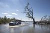 Louisiana After Storm Delta