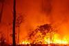 wildfires