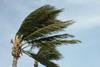 hurricane storm wind cyclone florida