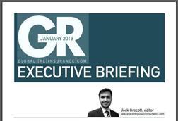 GR Executive Briefing January 2013