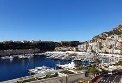 Monte Carlo view