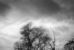 Storm desmond