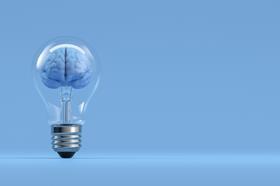 lightbulb brain innovation idea