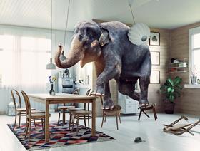 Elephant in the room