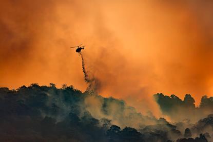 wildfire