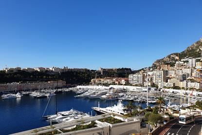 Monte Carlo view