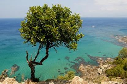 cyprus coast sea beautiful scenery mediterranean island