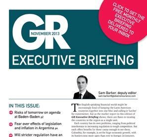 Executive Briefing