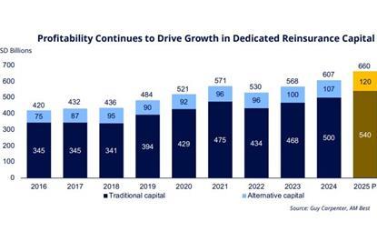 Guy Carp - Profitability Continues to Drive Growth in Dedicated Reinsurance Capital