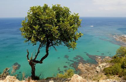 cyprus coast sea beautiful scenery mediterranean island