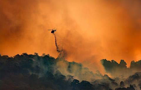 wildfire