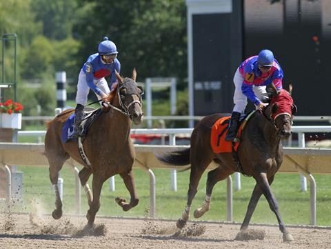 Horses closing the gap