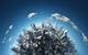 cities_on_globe_Adobe