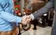 motorcycle partnership handshake